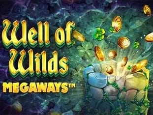 Well Of Wilds Megaways screenshot